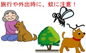 蚊とハイエース・網戸